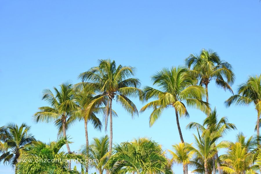on2continents travel blog; Cuba; Cuban; Varadero, Cuba, Atlantic ocean; vacation; pros; cons; sandy beach; beach; Caribbean; tropical; south; leisure; travel destination; destination; destination wedding; budget travel; cheap travel; family travel; international travel; air travel; tourism;
