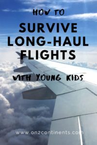 survive long flights with kids