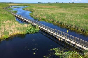 Pint Pelee National Park