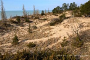 Pinery Provincial Park coastal sand dunes