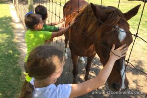 Kids petting a horse at the ZOO